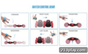 Hand Gestures to Control the Toy Stunt Car