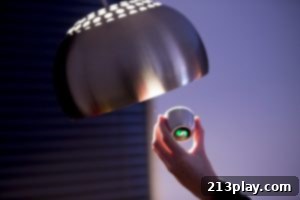 Hand holding Spin Remote