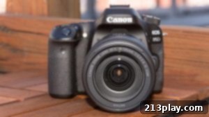 Premier Camera Choices 2 Canon EOS 80D