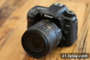 Premier Camera Choices 3 Nikon D 7500