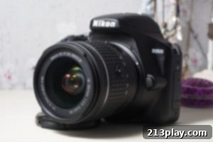 Premier Camera Choices 4 Nikon D3500