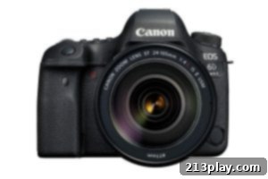 Premier Camera Choices 5 Canon Mark 2