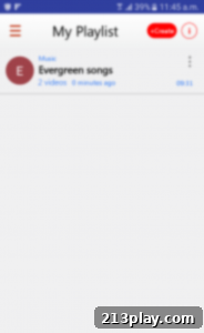 VPM - Video Playlist Maker App Interface
