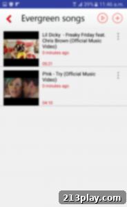 VPM - Create and Manage Your Video Playlists