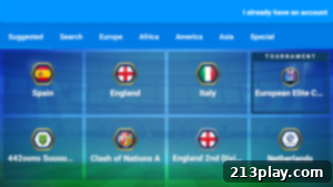 Online Soccer Manager Gameplay Screenshot 1