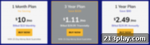 FastestVPN Honest Review Unbiased Truth Revealed 2 FastestVPN Pricing Plans